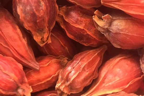 为什么你卤的猪头肉总有异味，教你处理方法
